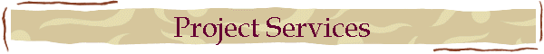 Project Services