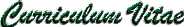 CV.jpg (2191 bytes)